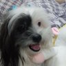 summer_winter1's profile picture