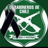 Arturo 🇨🇱 💚💚💚 profil fotoğrafı