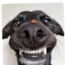 Ayinde Zulikifli's profile picture