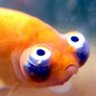 Profilbild von Tosky
