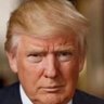 Trump2024's profile picture