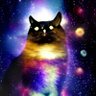 Earth Hoomans Are Easy profil fotoğrafı