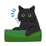 Фото профиля ねここ🐈⬛🐾