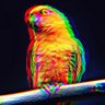 Profilbild von Dusty Specks
