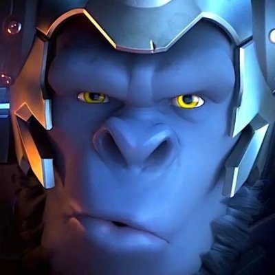 Winton's profile picture
