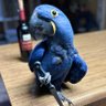 Twisted profil fotoğrafı