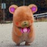 ぱどる's profile picture