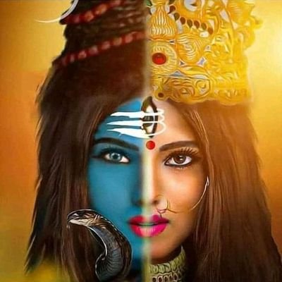 Bhumi Yadav 🇮🇳's profile picture