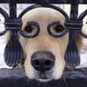 Zolby's profile picture