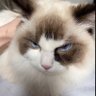Profilbild von Sandy