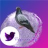 Dagmara's profile picture