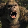 Фото профиля King Kong