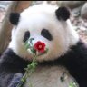 Profilbild von 5Ld6Ki