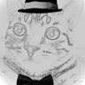 Chat Blanc's profile picture