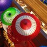 鶴仙人's profile picture
