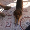 Фото профиля POSEIDÓN