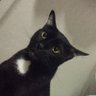 MyOwn's profile picture