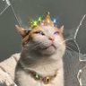 Profilbild von y