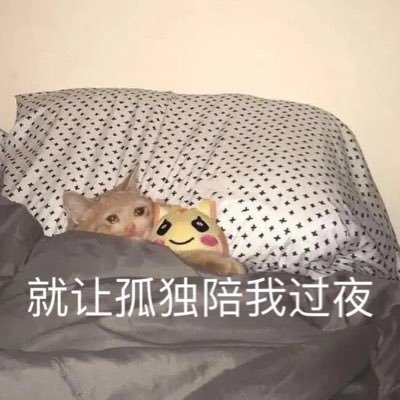 xiaoxiaobaizhou's profile picture