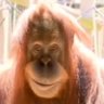OmnidE's profile picture