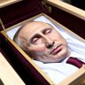 ПУТИН В ГРОБУ's profile picture
