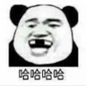 sdgm's profile picture
