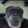 Profilbild von Aramis, o lerdo