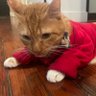 Aiden profil fotoğrafı