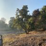 Фото профиля Shekhar Rajput