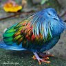 Фото профиля vincent hardy ©® zangi.apk My number :1088524714
