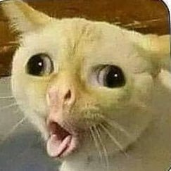 nocontextreceh's profile picture