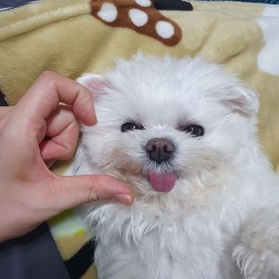 깨발랄삐돌이🕯's profile picture