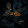 Waqas Khan profil fotoğrafı