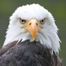 omar 🇿🇦 profil fotoğrafı