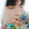 🍃WIN:D🌟☀️ & YW 🐶🐱 & youngjae profil fotoğrafı