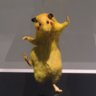 ofoton profil fotoğrafı