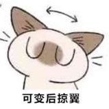竹竹竹巧's profile picture