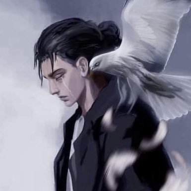 xSense's profile picture