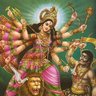 Vagambhrini's profile picture