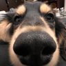 廖默默 profil fotoğrafı
