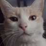 Romina profil fotoğrafı