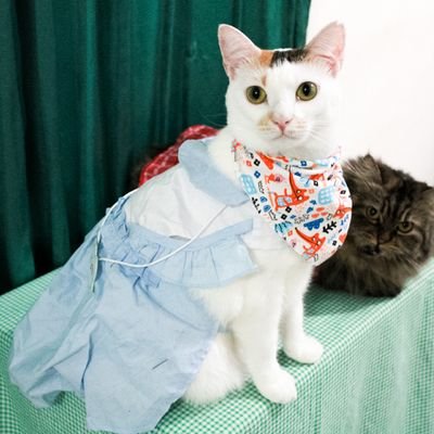 Micky and Friends's profile picture