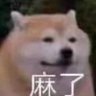 Profilbild von zips.exe