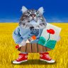 Profilbild von Kishka S.I.E. 💙💛 For Ukraine