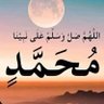 محمدالسيد 的头像