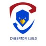 Cybertor Wild | أمن معلومات 的头像