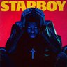 STARBOY.btc 的头像