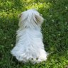 Beatrice Imfeld's profile picture
