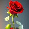 PO's profile picture