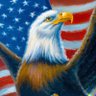 Profilbild von Political Americans